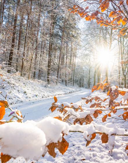 Lecker durch die kalte Jahreszeit - Strandhotel Seerose