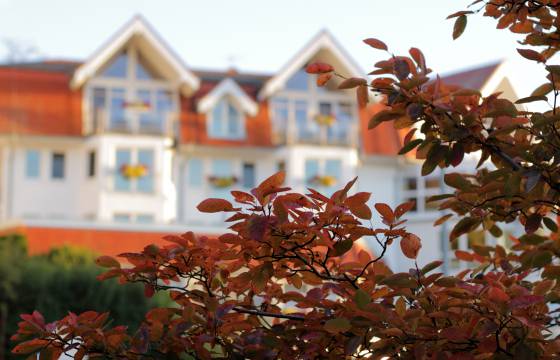 Vielfalt erleben: Natur und Kultur
im Urlaub erleben - Strandhotel Seerose