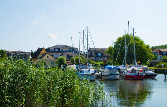 Vielfalt erleben: Natur und Kultur
im Urlaub erleben - Strandhotel Seerose